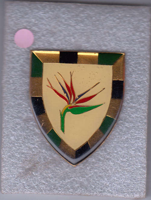 6 SA INFANTRY SHOULDER FLASH  all pins original