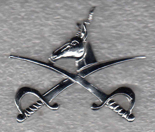 P.T. INSTRUCTOR BADGE ALL PINS