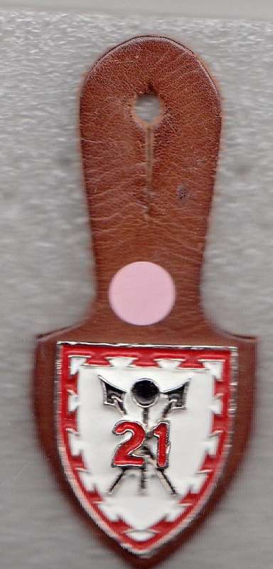 21 BATTALION AFFILIATION BADGE