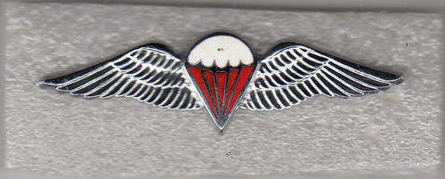 Recce/Parabats // Freefall Parawings // (regular size) 2 pins