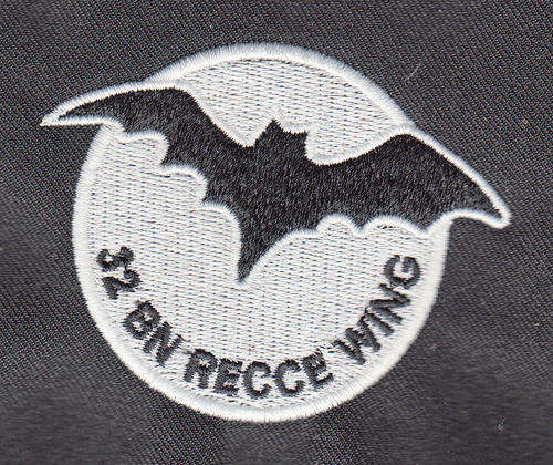 32 BATTALION RECCE COMPANY WING copy
