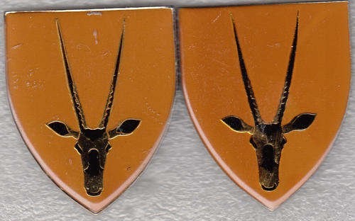 8 SAI BATTALION SHOULDER FLASH ALL  PINS PAIR
