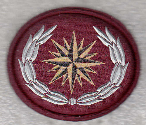 RECCE/SPECIAL FORCES BERTE BADGE 2013/- 2 PINS