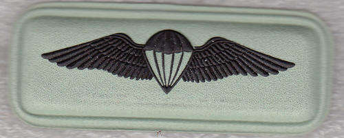 PARACHUTE  QUALIFIED  WING  2 PINS