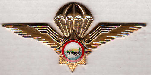 SA POLICE VLAKPLAAS UNIT parachute wing