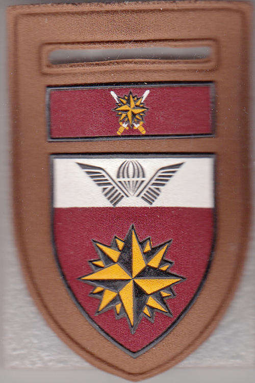 5 SPECIAL FORCES SHOULDER FLASH 1 PIN