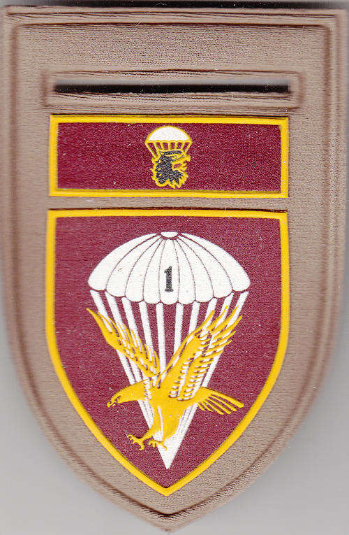 1 PARA BATTALION SHOULDER FLASH 1 PIN