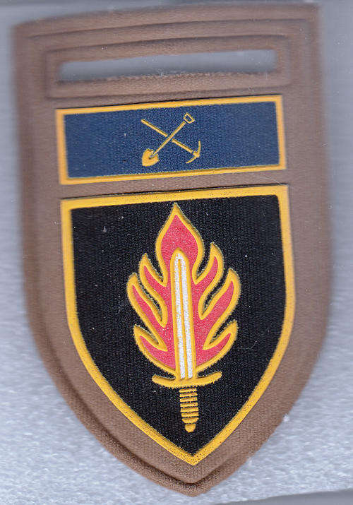 INT SCHOOL SHOULDER FLASH 1 PIN