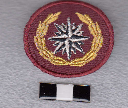 Special Forces Regiment Beret Bages & Bar