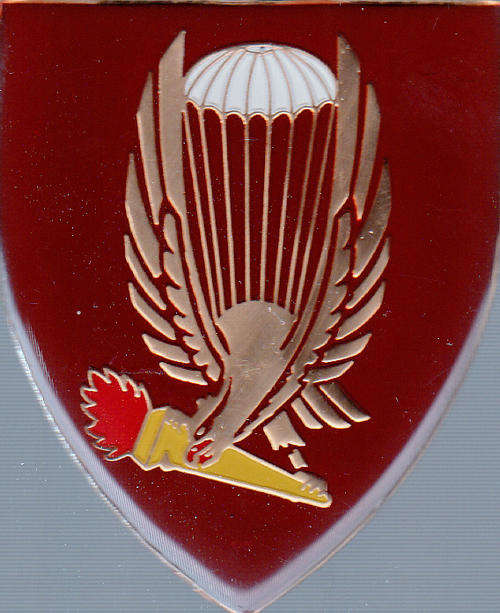 44 Pathfinder Platoon Shoulder Flash 3 pins