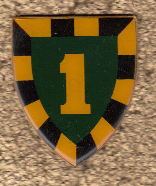 1 S.A. Infantry Battalion  Shoulder Flash 3 pins Original
