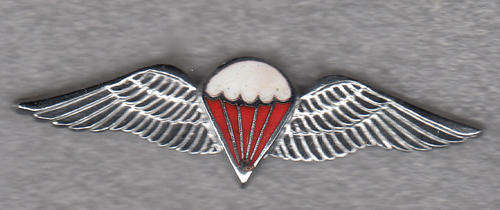 S.A. ARMY PARABAT BADGE -SA PARACHUTE FREEFALL,CHROMED AND LUCITE COVERED ENAMELED WING-WORN FROM70S