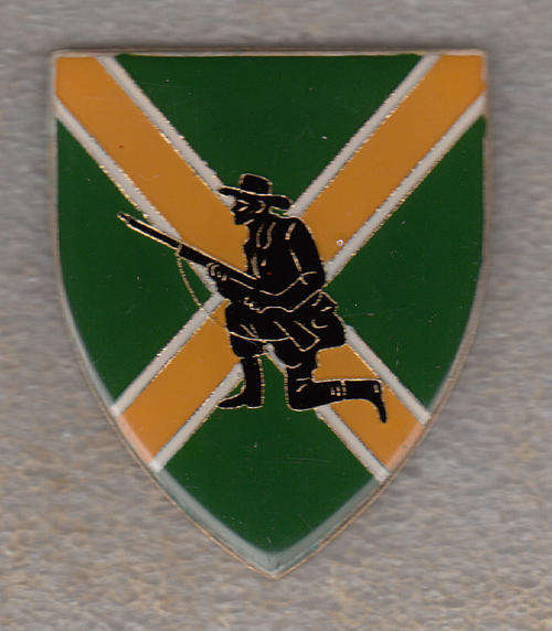 DANIE THERON COMBAT SCHOOL SHOULDER FLASH 3 PINS