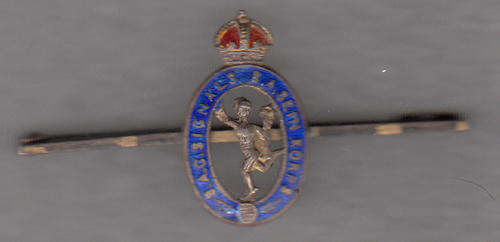 SA SIGNAL BLAZWE BADGE