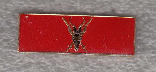 ARMY TROOPS COMMAND AFFILIATION BAR 2 PINS
