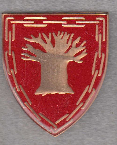 12 GSB PIETERSBURG SHOULDER FLASH 3 PINS