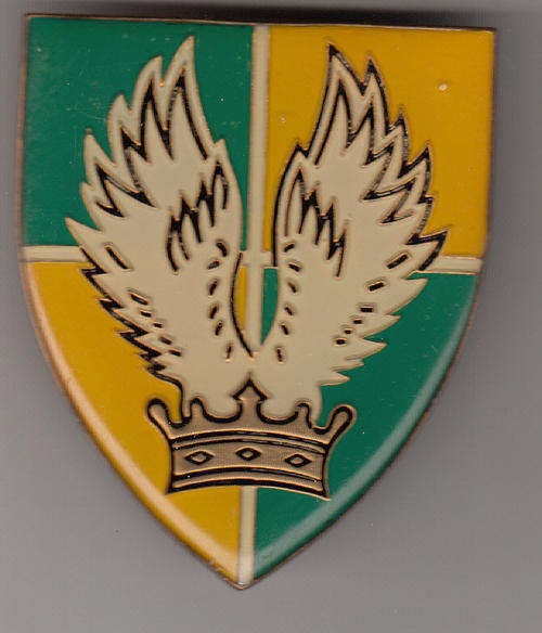 GROUP 30 HQ SHOULDER FLASH 3 PINS ORIGINAL
