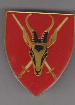 SA ARMY HQ SHOULDER FLASH 3 PINS ORIGINAL