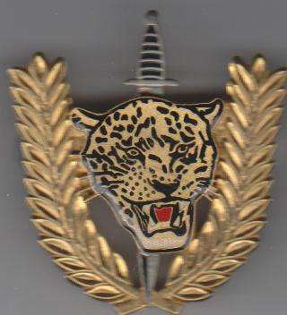 EXECUTIVE OUTCOME OPERATOR BADGE 2 PINS ORIGINAL