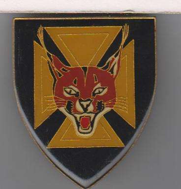 7 SA INF BN SHOULDER FLASH 3PINS