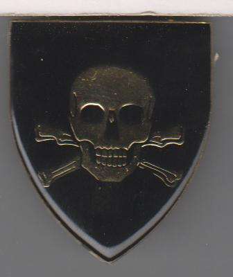 DUNDEE $DIST SHOULDER FLASH 3PINS