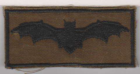 SA JUNIOR BADGE COPY