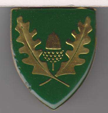 UNIVERSITY STELLENBOSCH SHOULDER FLASH 3PINS