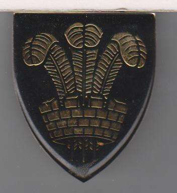 OUDTSHOORN SHOULDER FLASH 3 PINS