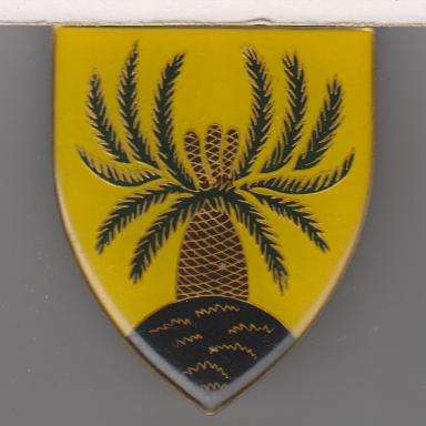 4 SA INFANTRY SHOULDER FLASH ALL PINS