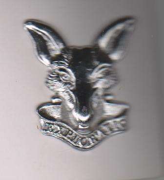 I.N.T. CAP BADGE ALL PINS 1980--TO DATE