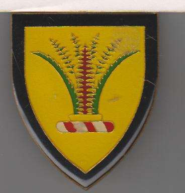 SECTOR  10 OSHAKATI  SHOULDER FLASH