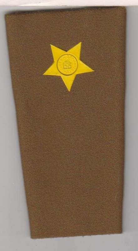 2 nd LIEUTENANT RUBBERISED RANK  FIELD DRESS