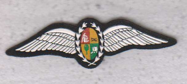 PILOT s WINGS FIELD DRESS 2 PINS