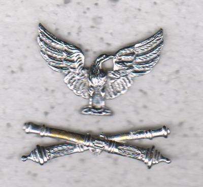 TRANSVAAL STATE ARTY BERT BADGE ALL PINS