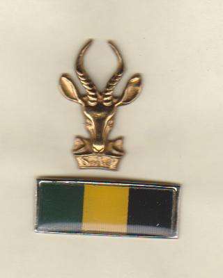 SA INFANTRY CORPS BERET BADGE ALL PINS