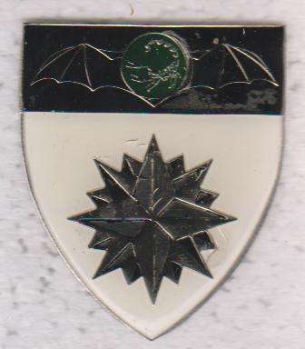 2 RECCE REGT SHOULDER FLASH 3 PINS