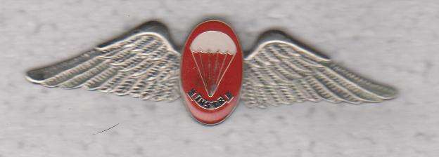 PARACHUTE INSTRUCTOR  FREEFALL QUALIFIED  2 PINS