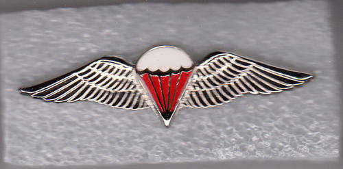 PARACHUTE WINGS FREE FALL QUALIFIED 2 PINS