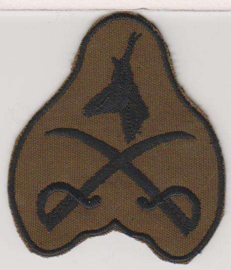 ADVANCED PT INSTRUCTOR FIELD DRESS