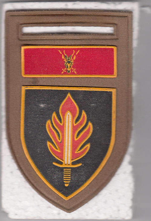 INT SCHOOL SHOULDER FLASH 1 PIN