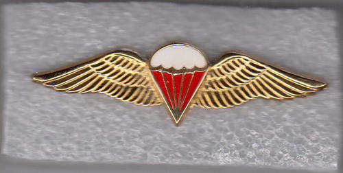 PARACHUTE WINGS 2 PINS