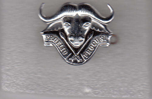 32 BATTALION CAP   BADGE 2 LUGS