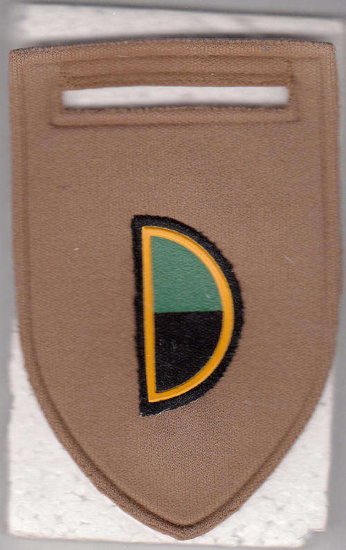 COMPANY/SQUADRON ARM FLASH  [F] COY 1PIN