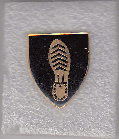 RECCE/SF TRACKER BADGE 2 PINS