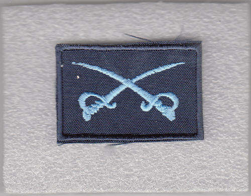 PT INSTRUCTOR FIELD DRESS