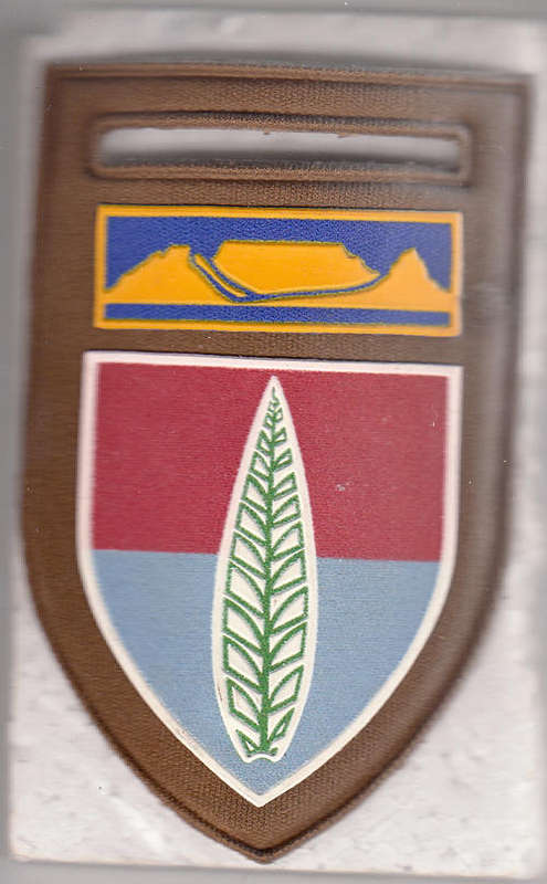 ANTI AIRCRAFT SCHOOL SHOULDER FLASH 1 PIN