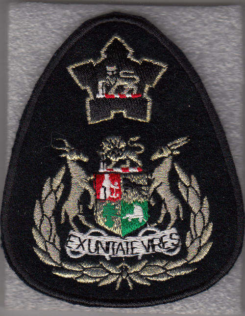 SERGEANT MAJOR OFF THE NAVY