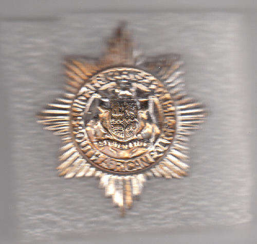 OLD S A P CAP BADGE 2 PINS