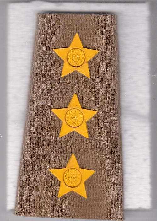 RANK BADGES FIELD DRESS CAPTAIN