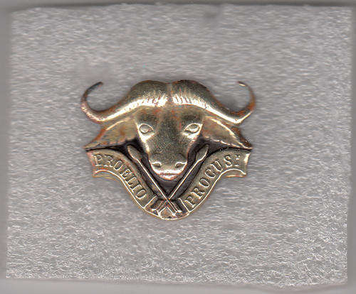 32 BATTALION CAP   BADGE 2 LUGS BRASS